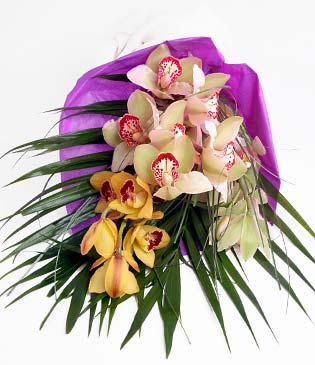  Bursa iek gnder nilfer cicekciler , cicek siparisi  1 adet dal orkide buket halinde sunulmakta